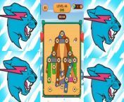 wood nuts & bolts screw puzzle level46 from level up meek mill