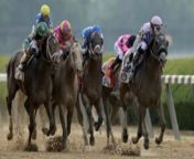 DraftKings, NY Racing Association Join for Belmont Stakes from ss ny lion