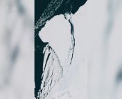 A 1550 square km (963 sq mi.) iceberg, designated A81 broke off Antarctica’s Brunt Ice Shelf. &#60;br/&#62;A time-lapse of the &#39;calving process&#39; was captured by satellites.&#60;br/&#62;&#60;br/&#62;Credit; ESA - European Space Agency
