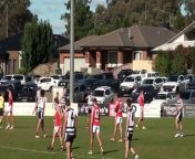 BFNL: Steven Stroobants kicks a goal for South Bendigo from south indian aunty hot with 1a actris saxy