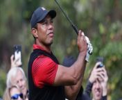 Tiger Woods Oddsmakers Biggest Liability at the Masters from players movie son