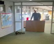 Ducklings take a detour through Peterborough school! from flight take off video