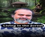 Living in the forest || Acharya Prashant from living on video merengue rmx