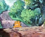Winnie the Pooh S01E18 My Hero + Owl Feathers from vebio com hero gire download hd video bangla movie hiroshima