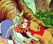 Winnie the Pooh S04E05 Home Is Where the Home Is from winnie the pooh tigger and eeyore