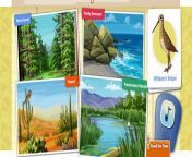Dinosaur Train Backyard Theropods Cartoon Animation PBS Kids Game Play Walkthrough [Full E from pbs kids 1982 effects
