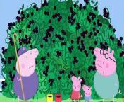 Peppa and George are excited to eat all of the delicious blackberries.&#60;br/&#62;#PeppaPig #PeppaPigFullEpisodes #KidsVideos