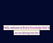 Explore the captivating realm of Artificial Intelligence (AI) with Brainy Knowledge Hub! Discover the fundamental concepts, historical evolution, and diverse applications of AI in everyday life and cutting-edge industries. Unleash the boundless potential of AI and stay curious as we delve into its ever-evolving advancements. Subscribe now for intriguing insights and exciting updates. #artificialintelligence #ai#techexploration