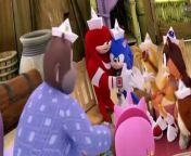Sonic Boom Sonic Boom E034 Just a Guy from reenka boom