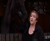 Horse charity boss defends Household Cavalry trainingSource: Good Morning Britain, ITV