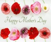 9 Facts, About Mother&#39;s Day.&#60;br/&#62;1. The date changes due to it &#60;br/&#62;being held annually on &#60;br/&#62;May&#39;s second Sunday.&#60;br/&#62;May 12th is the scheduled date &#60;br/&#62;for the holiday in 2024.&#60;br/&#62;2. Ancient Greece was one of the &#60;br/&#62;earliest civilizations to honor mothers.&#60;br/&#62;3. According to Reuters, Mother&#39;s Day &#60;br/&#62;sees the highest volume of phone calls &#60;br/&#62;than any other day of the year.&#60;br/&#62;4. In 2018, gift totals amounted &#60;br/&#62;to &#36;23 billion according to the &#60;br/&#62;National Retail Federation.&#60;br/&#62;5. Greeting cards are the &#60;br/&#62;most common gift with &#60;br/&#62;152 million being &#60;br/&#62;delivered every year.&#60;br/&#62;6. The idea was started in 1868 by activist &#60;br/&#62;Ann Jarvis, who wanted to bring people together after the Civil War.&#60;br/&#62;7. 1908 was the first year &#60;br/&#62;Mother&#39;s Day was &#60;br/&#62;observed in the U.S.&#60;br/&#62;8. It became an official federal holiday &#60;br/&#62;less than a decade later in 1914.&#60;br/&#62;9. Mother&#39;s Day is celebrated worldwide &#60;br/&#62;at different times during the year