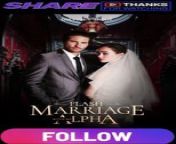 Flash Marriage With My Alpha Part 1 from sepideh nazdar official video 4k