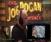 Episode 2145 Colin Quinn - The Joe Rogan ExChris Distefanoperience Video - Episode latest update