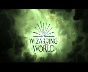 Take a look at our &#39;Teaser Trailer&#39; concept for Harry Potter And The Cursed Child (2025) (More Info About The Video Down Below!)&#60;br/&#62;