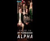 Fated To My Forbidden Alpha Full EPS MOVIE - short movie
