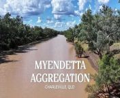 The significant 115,776 acre Myendetta aggregation near Charleville is on the market.