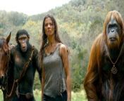 Prepare for an epic journey into the realm of science fiction and action as Kingdom of the Planet of the Apes makes its highly anticipated debut in theaters this Friday.&#60;br/&#62;&#60;br/&#62;Kingdom of the Planet of the Apes Cast:&#60;br/&#62;&#60;br/&#62;Owen Teague, Freya Allan, Peter Macon, Eka Darville, Kevin Durand, Kevin Durand and William H. Macy&#60;br/&#62;&#60;br/&#62;Kingdom of the Planet of the Apes will hit theaters May 10, 2024!