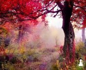 30 MinutesRelaxing Meditation Music • Inspiring Music, Sleepand calm anxiety (Red leaves) @432Hz from 10 minutes dance workout
