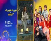 Shiddat Episode 13 [Eng Sub] Muneeb Butt - Anmol Baloch - Digitally Presented by PEL - 25th Mar 2024 from anmol 1