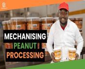 Sylvain CONGO is a born entrepreneur. From selling water to running a fast food restaurant, he now runs a peanut production and processing business. &#60;br/&#62;&#60;br/&#62;He has understood that the processing of peanuts is not linked to gender. So he made it his business. His company, &#92;