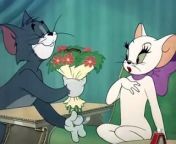 Tom And Jerry - Casanova Cat