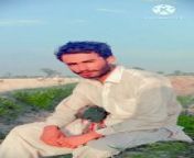 Sad poetry in Urdu from tom jerry sad video