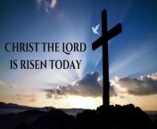 Christ The Lord is Risen Today | Lyric Video | Easter from luna jingle lyrics