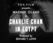 While investigating the theft of antiquities from an ancient tomb excavation, Charlie discovers the body of the expedition&#39;s leader concealed inside the mummy&#39;s wrappings.&#60;br/&#62;