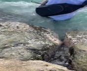 This person moved forward to have a closer look at the small crab. However, they lost their footing on the damp rock and fell right into the water. Also, their phone fell out of their pocket during the fall.
