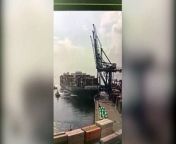CCTV recording showed on Saturday (March 16) a giant containership crashing into and toppling over cranes in Turkey&#39;s Evyapport after failing to maneuver when arriving at the port. - REUTERS