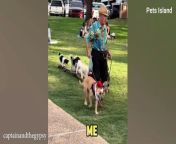 ➡WHEN YOUR DOG DOES A BETTER JOB THAN YOU&#60;br/&#62;&#60;br/&#62;Get ready to have your funny bone tickled with this fantastic compilation of cats and dogs&#39; funny videos! To become a regular subscriber, please click the subscribe button and ring the bell to ensure that you don&#39;t miss anything from your favorite &#92;