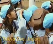 Funny video of a man dressed as a polar bear who gets hunted down as part of an emergency drill at Tokyo Zoo.