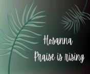 Hosanna Praise is Rising | Lyric Video | Palm Sunday from black mamba lyrics
