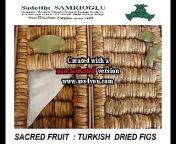 Welcome to SAMRIO%u011ELU www.samrioglu.com&#60;br/&#62;&#60;br/&#62;HAZELNUTS, DRIED FRUITS &amp; CHESTNUTS EXPORTTOTHEWHOLE WORLD &#60;br/&#62;&#60;br/&#62;Company was founded by Sadettin Samr%u0131o%u011Flu in 1940, is one of old manufacturer and trader companies that specializes in Hazelnuts. SAMRIO%u011ELU Family has been manufacturing and exporting Akcakoca quality Natural Hazelnuts for three generation, had the honor to be chosen supplier of world&#39;s giant Chocolate industries; Nestlé SA and Kraft Foods, Inc. (Previous Jacob Suchard AG) in 1990s.&#60;br/&#62;SAMRIO%u011ELU is dynamic company run by professional new generation, very active in foreign trade, supply customers all around the world also withHazelnuts ( Raw, Processed and Organic ), Chestnuts , Dried Fruits and other Nuts (both Organic and Conventional).We are very specialized also in these product categories.&#60;br/&#62;Our innovative approach to business, strong and old cooperation with our serious manufacturer partners who all are leaders in their fields and presenting unbeatable advantages to Global Buyers have enabled SAMRIOGLU to become highly respectedsupplier namein Hazelnuts and Dried Fruits sector. We are quality-oriented company, apply the rules of HACCP and ISO 9001:2000 for the best quality products in accordance with the InternationalFood Standards. Not only guaranteed top product quality, we offeryou also multi-level reliability, friendly business relations, accurate service and timely delivery. &#60;br/&#62;Key Export Products:Natural Raw Hazelnuts, OrganicHazelnuts, Roasted &amp; Blanched Hazelnuts, Sultanas, Dried Apricots, Dried Figs, Fresh Chestnuts, Frozen Peeled Chestnuts, Pistachios, Chickpeas, Pine Nuts, Poppy Seeds,Other Nuts (Industrial, Conventional and Organic)