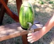 Let&#39;s save some money and build our own keg out of a watermelon. If you have access to a 3D printer