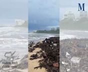 Woonona Beach after the storm │ April 7, 2024 │ Illawarra Mercury from beach mom