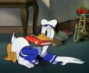 Donald Duck Donalds Nephews 1938 DISNEY TOON from toon disney gets grounded