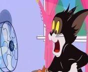 The Tom And Jerry Show Episode 2 _ Tom And Jerry Cartoon Network Movies 2016 from cartoon network nederland liedjes