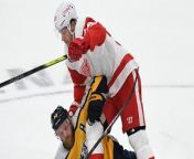 NHL Wild Card Race: Can Detroit Steal Final Spot from Pittsburgh? from haciendo publicidad de mi