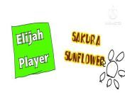 Elijah Player\ Sakura Sunflower Music (Friday Night Music) from sakura momochi