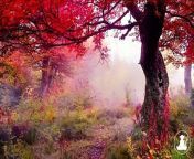 30 MinutesRelaxing Meditation Music • Inspiring Music, Sleepand calm anxiety (Red leaves) @432Hz from house instrumental music