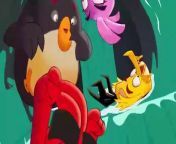 Angry Birds Summer Madness S03 E003 from zig sharko s03