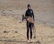 A deer got stranded in the sea after being chased by dog before a paddleboarder came to the rescue.Source: Bruce Martin