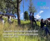 Campdraft riders honour stalwart Keith Summerell with mesmerising stampede.