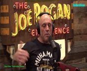 Episode 2139 Akaash Singh - The Joe Rogan Experience Video&#60;br/&#62;Please follow the channel to see more interesting videos!&#60;br/&#62;If you like to Watch Videos like This Follow Me You Can Support Me By Sending cash In Via Paypal&#62;&#62; https://paypal.me/countrylife821 &#60;br/&#62;