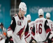 Arizona Coyotes Relocate to Salt Lake City: Impact and Analysis from western in bangla fr