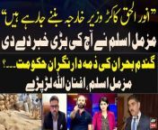 Muzzammil Aslam gives inside news regarding Anwar ul Haq Kakar from atif aslam in total video