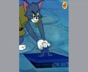 Jerry Junior Vs Tom &#124; Tom and Jerry &#124; Tom &amp; Jerry &#124; Cartoons For Kids &#124; Cartoon Videos &#124;&#60;br/&#62;&#60;br/&#62;&#92;