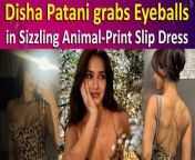 Bollywood Diva Disha Patani consistently captivates her fans and followers with her impeccable sense of style and unique fashion-forward choices. Her bold outfits are truly magical and they always turn heads while inspiring modern fashion icons. Disha Patani was recently spotted donning a sizzling Animal-Print Slip Dress. Her latest video is rapidly going viral on social media.&#60;br/&#62;&#60;br/&#62; #dishapatani #fashion #animalprint #summerfashion #bollywood #trending #viralvideo #entertainmentnews #diva