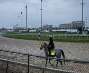 Undefeated Japanese Horse Aimed at Kentucky Derby Win from japan 18 girl videooundarya photo